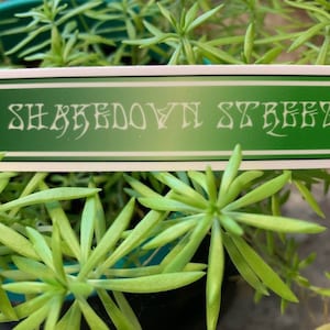 Grateful Dead Shakedown Street Sticker