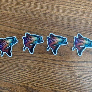 May include: Four iridescent rainbow colored fish stickers on a wood background. The fish are facing right and have a white outline.
