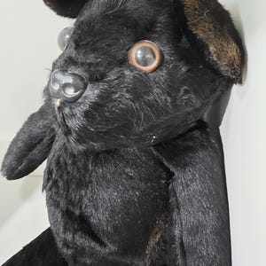 Può includere: Un giocattolo a forma di cane di peluche nero con grandi occhi rotondi e chiari e un piccolo naso nero. Il cane ha orecchie flosce con punte marroni e una consistenza morbida e pelosa.