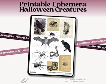 Vintage Halloween Ephemera: Creatures, Bat, Owl, Spider, Snake, Raven (Digital Download)