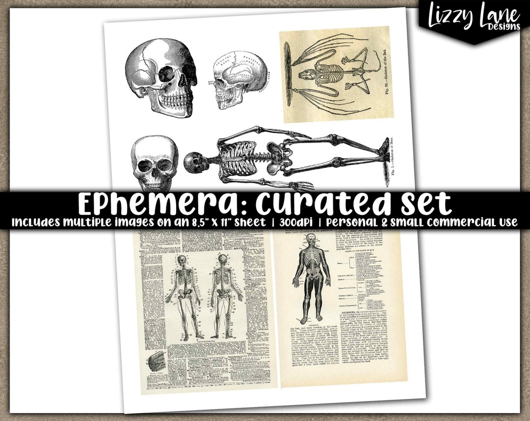 Vintage Halloween Printable Collage Sheet Bones Skeletons - Etsy Singapore