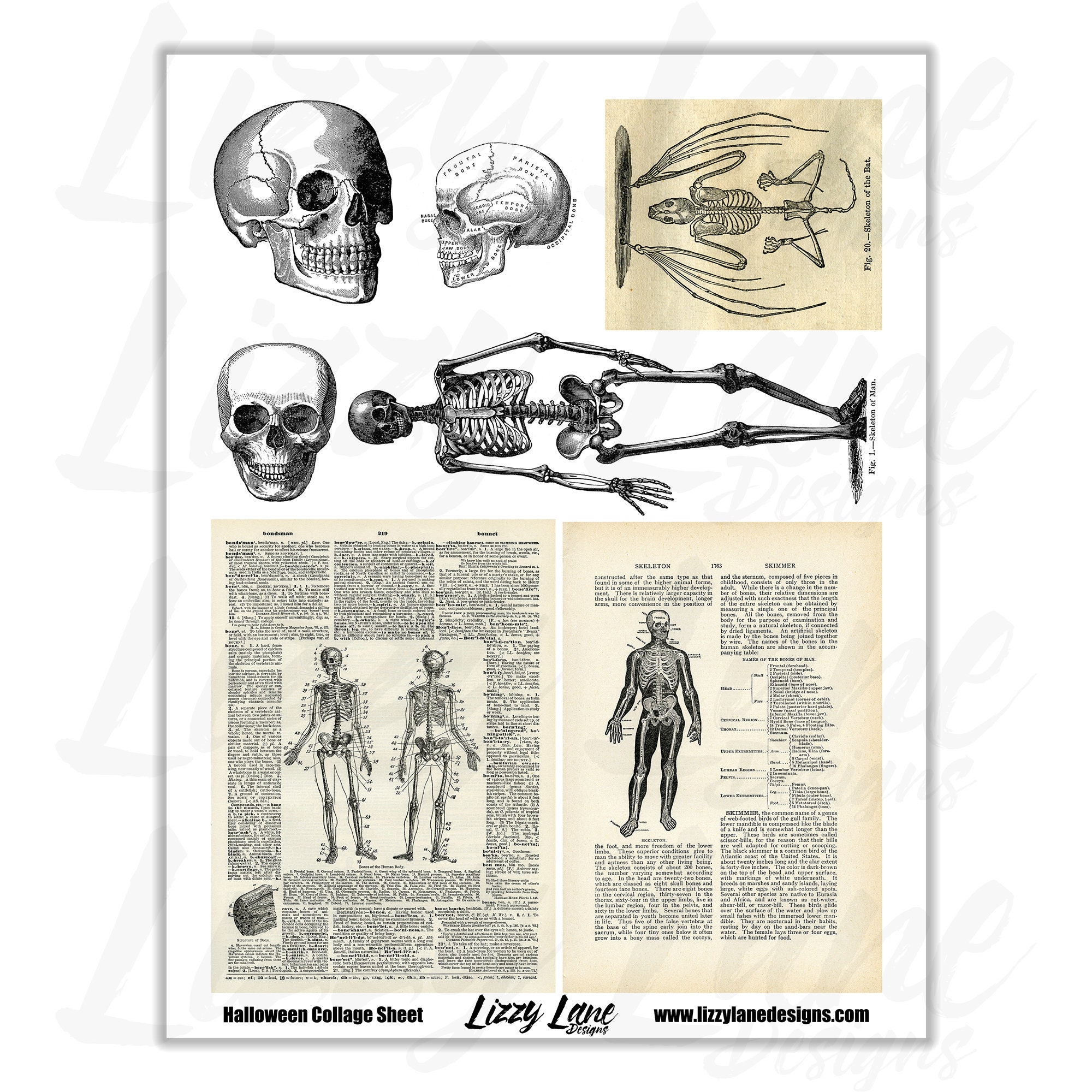 Vintage Halloween Printable Collage Sheet Bones Skeletons - Etsy Singapore