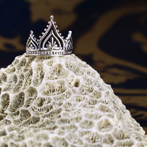 K&ouml;nnte beinhalten: Eine silberne Krone mit filigranen Details sitzt auf einer wei&szlig;en korallenartigen Oberfl&auml;che. Die Krone hat eine spitze Spitze und ein zartes Design.