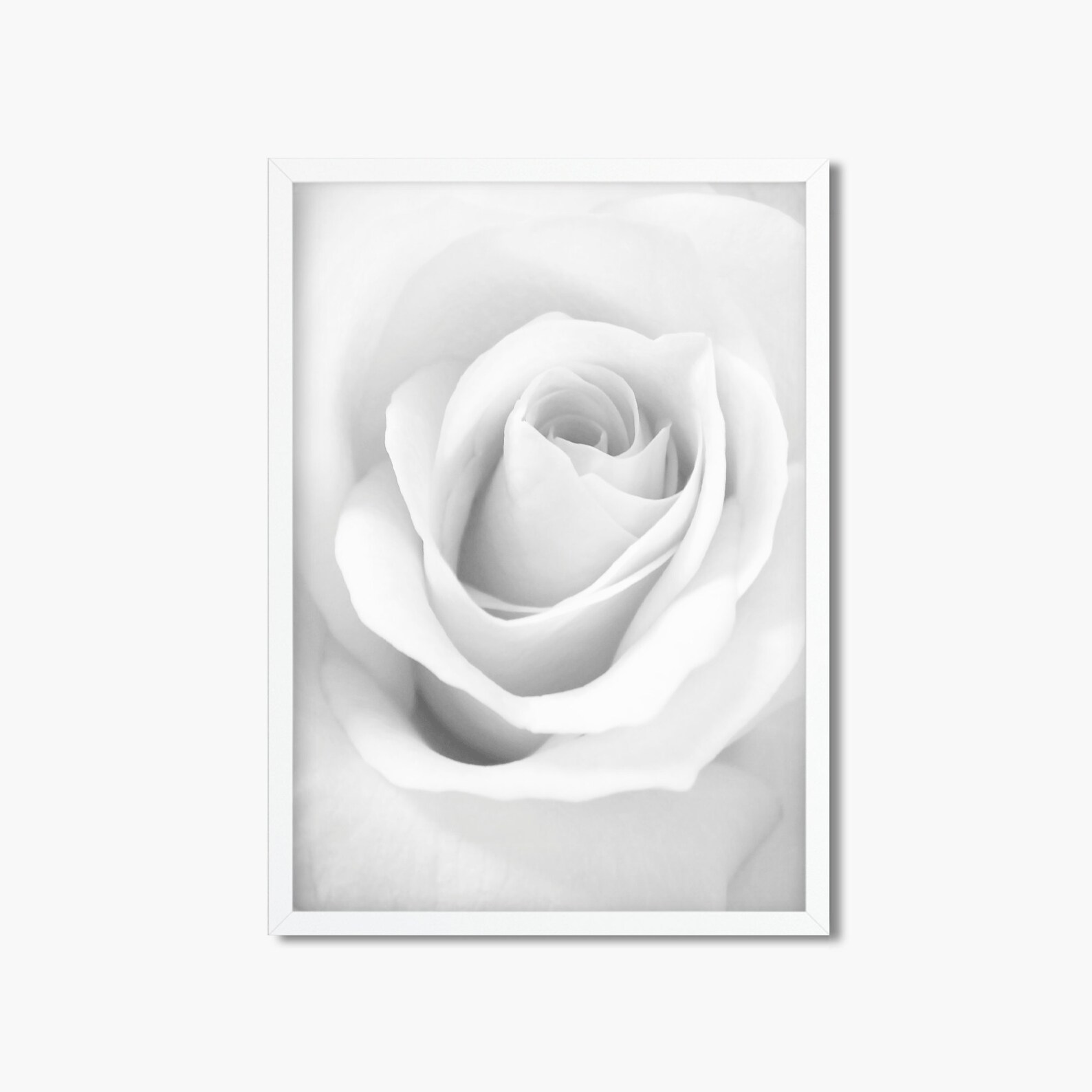 Rose Printable Wall Art Rose Print White Flower Black and Etsy