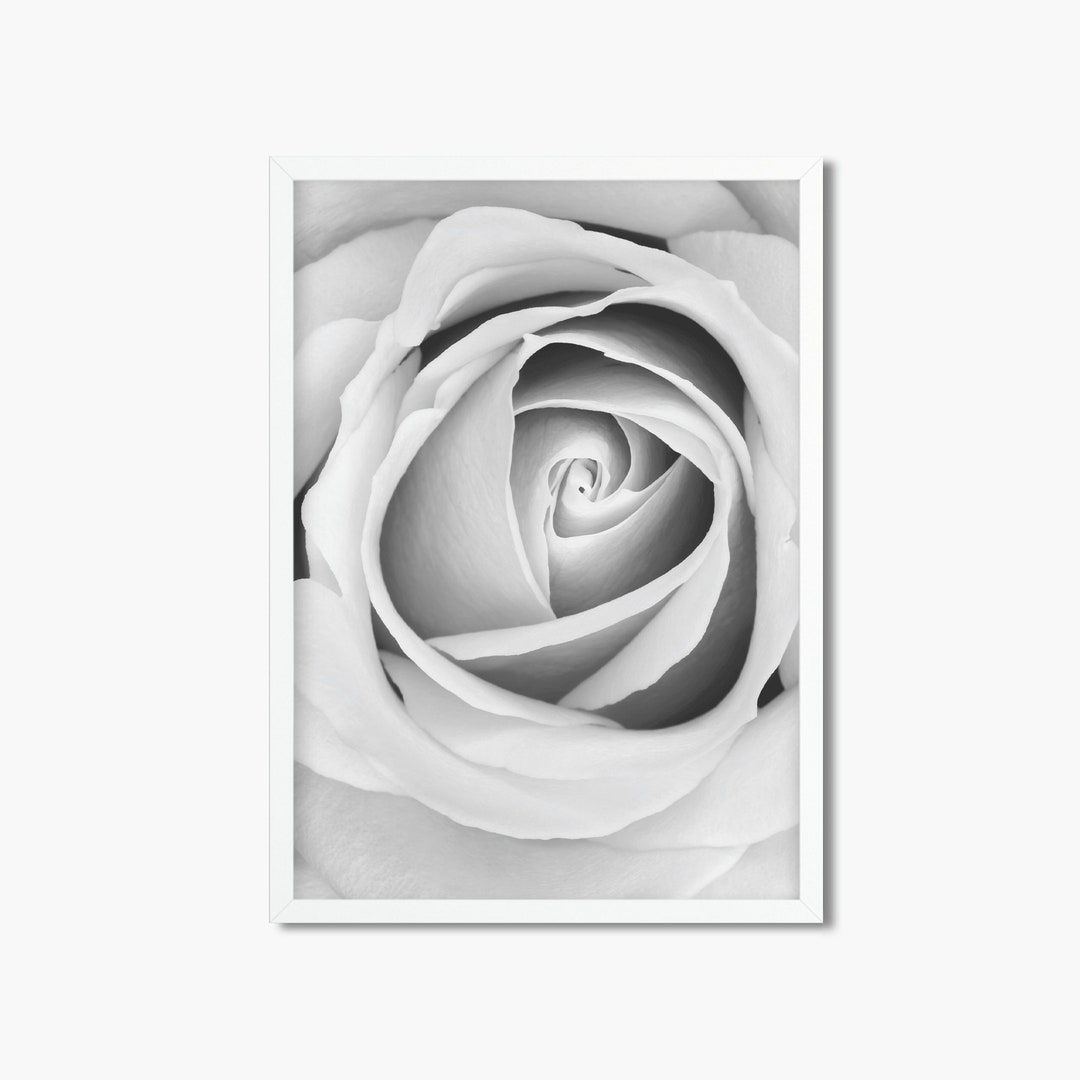 Rose Printable Wall Art Black and White Photo Rose Print - Etsy