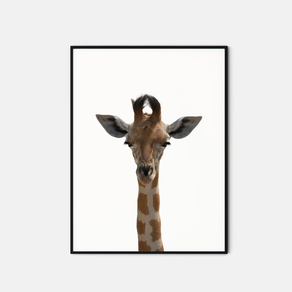 Giraffe Print Safari Nursery Animal Nursery Decor Etsy