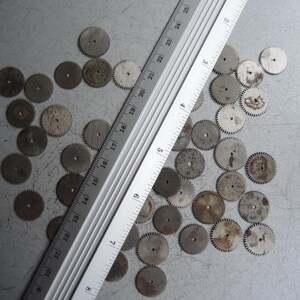May include: A collection of small, circular metal gears with a ruler, likely for watchmaking or repair. The gears are various shades of gray and brown, with a ruler measuring up to 25 inches.