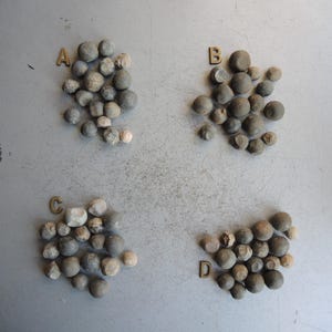 UN !!! Lot de 18 anciennes balles de mousquet de collection antiques / coup de pistolet en plomb / balle / véritables balles de mousquet originales / trouvaille de détecteur de métaux