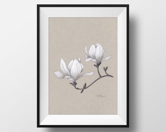 Botanical Bliss: Magnolia Drawing Art Print