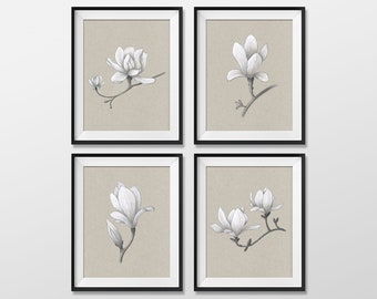 Elegant Magnolia Drawing Art Print Set - Set of 4 Floral Prints