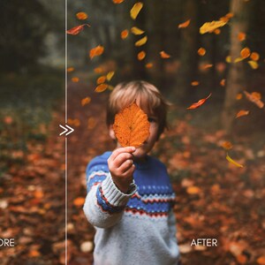 70 Natural Falling Autumn Leaves Photo Overlays for Photoshop and Mobile Creative Editing Tools for Photographers image 3