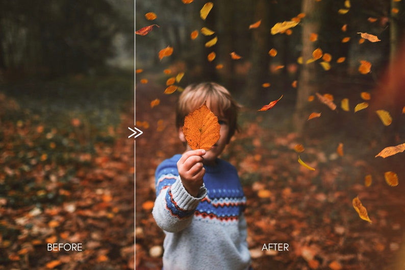 70 Natural Falling Autumn Leaves Photo Overlays for Photoshop and Mobile Creative Editing Tools for Photographers image 3