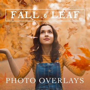 70 Natural Falling Autumn Leaves Photo Overlays for Photoshop and Mobile Creative Editing Tools for Photographers image 1