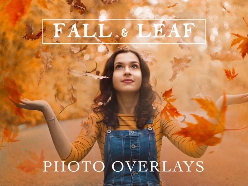 70 Natural Falling Autumn Leaves Photo Overlays for Photoshop and Mobile Creative Editing Tools for Photographers image 1