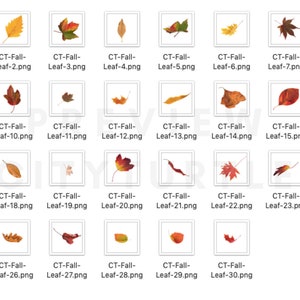 70 Natural Falling Autumn Leaves Photo Overlays for Photoshop and Mobile Creative Editing Tools for Photographers image 9