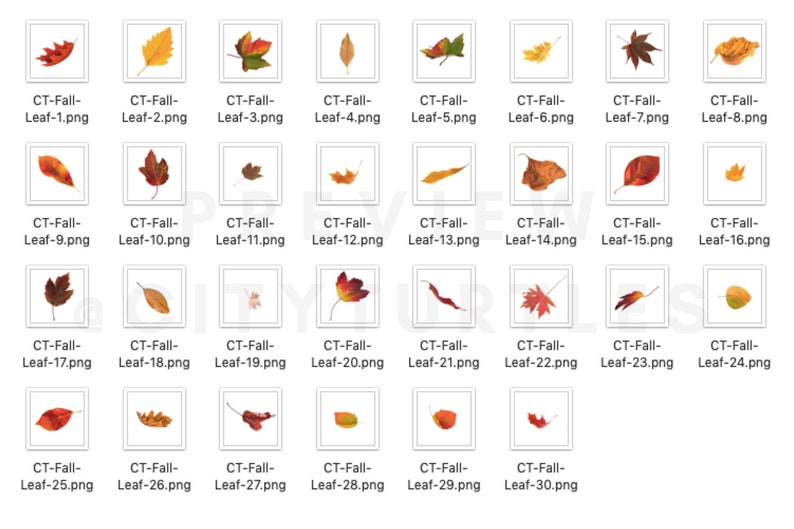 70 Natural Falling Autumn Leaves Photo Overlays for Photoshop and Mobile Creative Editing Tools for Photographers image 9