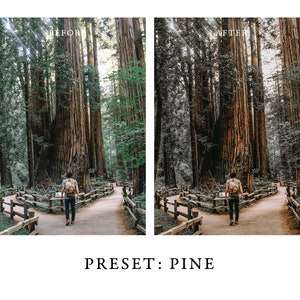 Warm and Moody Lightroom Presets Pack 2 for Desktop & Mobile One Click Photographer Editing Tools image 5