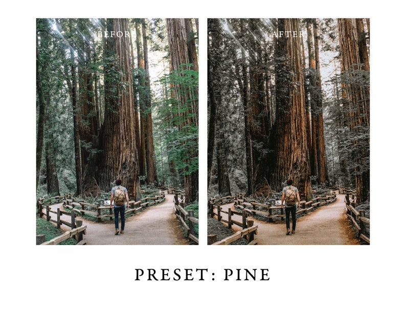 Warm and Moody Lightroom Presets Pack 2 for Desktop & Mobile One Click Photographer Editing Tools image 5