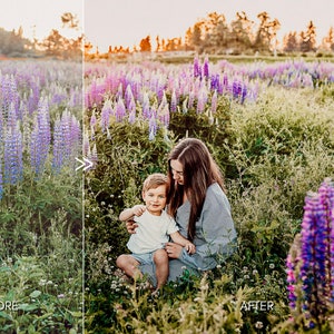 Pack de paramètres prédéfinis Lightroom pour portraits de famille naturels en plein air pour ordinateur de bureau et mobile Outils d'édition pour photographe en un clic image 3