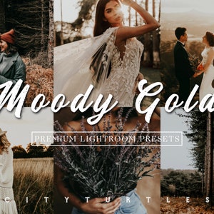 Moody Warm Outdoor Rustic Portrait Wedding Lightroom Presets Premium Photography Editing Tools image 1