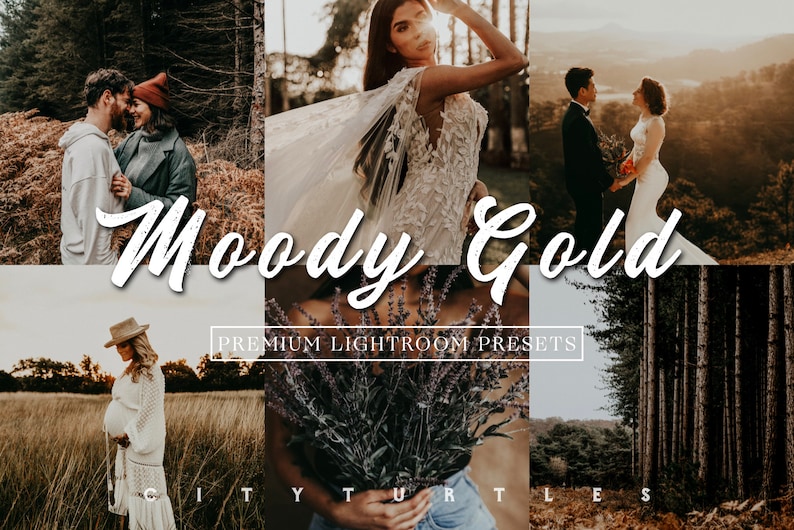 Moody Warm Outdoor Rustic Portrait Wedding Lightroom Presets Premium Photography Editing Tools image 1