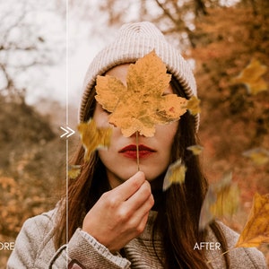 70 Natural Falling Autumn Leaves Photo Overlays for Photoshop and Mobile Creative Editing Tools for Photographers image 6