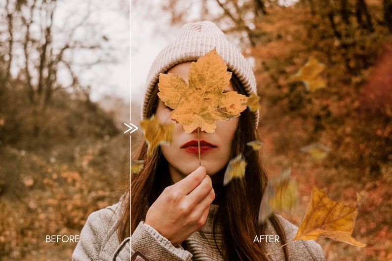 70 Natural Falling Autumn Leaves Photo Overlays for Photoshop and Mobile Creative Editing Tools for Photographers image 6