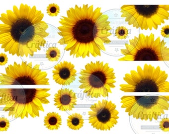 Sunflower clear or white waterslide tumbler decal, ready to use waterslide images, 20oz tumbler decal, 30oz waterslide tumbler decals