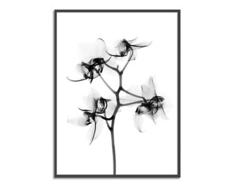 Monochrome Orchid Print
