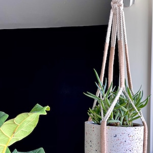 Little Urban, Less Knotty Plant Hanger Taupe