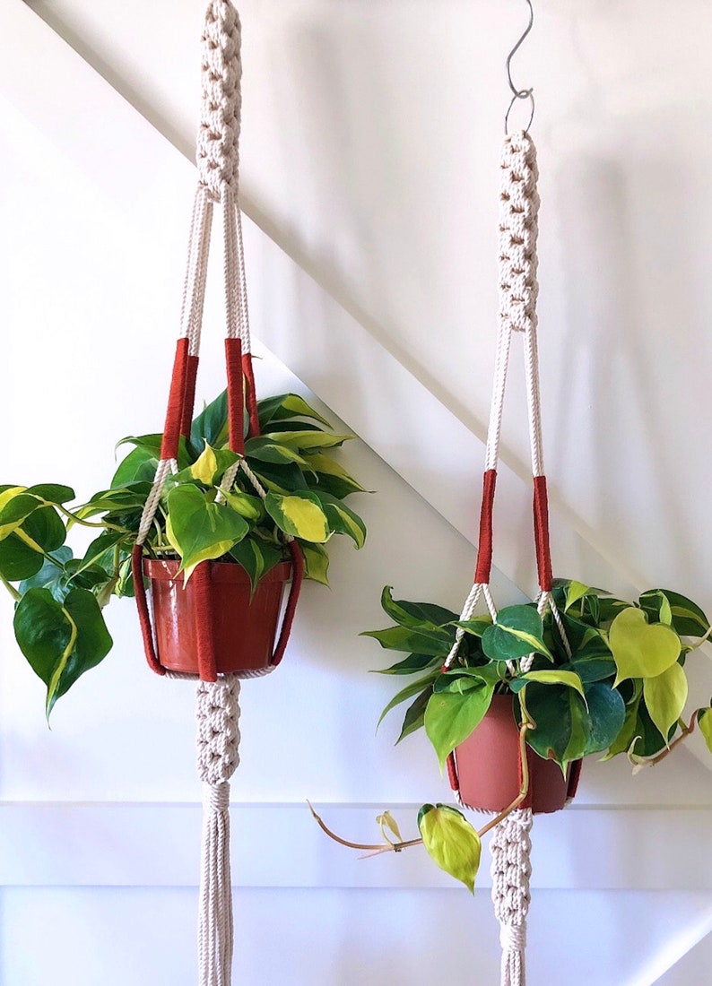 Little Urban, Less Knotty Plant Hanger Red