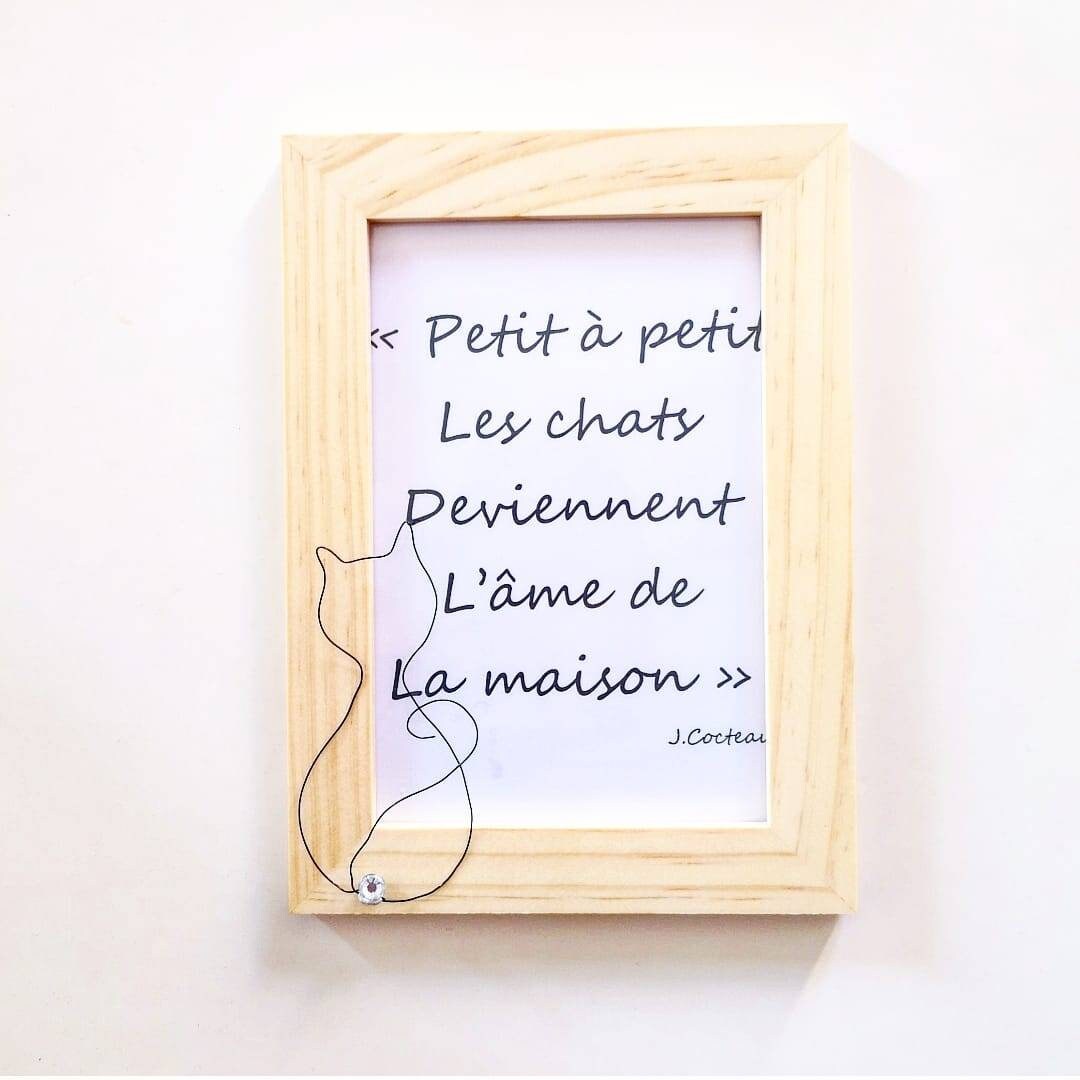 Cadre Chat