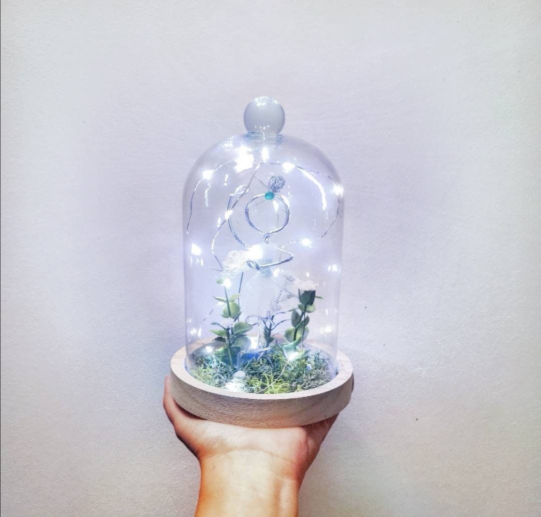 Cloche Danseuse, Lumineuse, Fleurs, Fil de Fer Argent