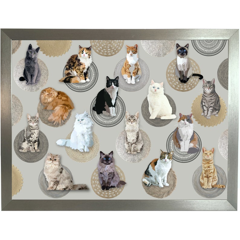 CATS On Rattan Mats Lap Tray with Bean Bag Cushion High Etsy