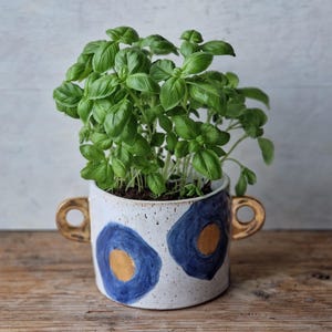 May include: A ceramic planter with a basil plant. The white planter has two gold handles and is decorated with blue and gold abstract shapes. The basil plant has many green leaves and is planted in soil. The planter sits on a wooden surface.