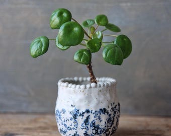 Succulent planter, mini ceramic planter handmade decorative flower pot for indoor, unique small plant pot