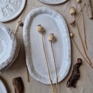 Può includere: Vassoio da portata ovale in ceramica bianca con una glassa macchiettata. Il vassoio è vuoto e ha uno stile rustico, da fattoria. Tre baccelli di semi di papavero secchi sono disposti su una superficie marrone chiaro davanti al vassoio.