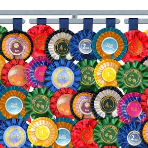 Horse Ribbon Display | PLAIN BAR | Metal | Wall Mounted Horse Show Rosette Hanger
