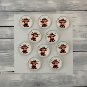 Highland Cow with hat Glass domed flat back Cabochons (10mm, 12mm, 14mm, 16mm, 18mm, 20mm and 25mm)  - 10pcs