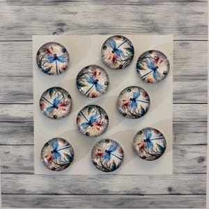 Dragon Fly Glass domed flat back Cabochons (10mm, 12mm, 14mm, 16mm, 18mm, 20mm and 25mm)  - 10pcs