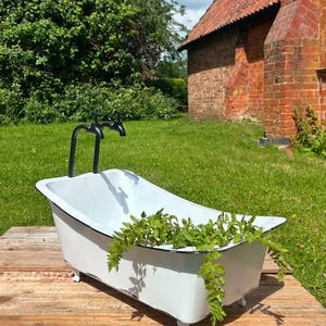 May include: A white enamelled metal bathtub with a black rim and black faucet hardware. The tub features four small feet and contains a green fern plant. The exterior finish shows signs of wear with visible distressed edges along the bottom.