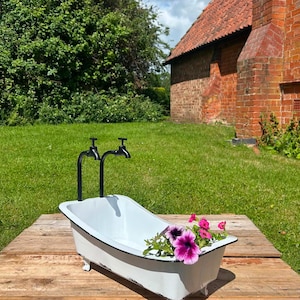 May include: A white miniature clawfoot bathtub planter with a black rim and two black faucet handles attached to the side. The tub features distressed detailing along the bottom edge and contains a cluster of vibrant purple petunia flowers.