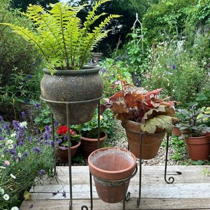 May include: Three terracotta pots with plants on a metal plant stand. The stand has three tiers and is made of black metal. The pots are all different sizes and are made of terracotta. The plants are a fern, a leafy plant, and a flowering plant.