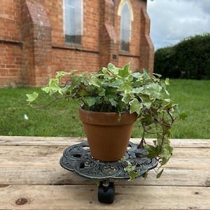 May include: A terracotta plant pot with a trailing green and white plant sits on a decorative, dark green metal plant caddy with wheels. The caddy is on a wooden surface, with a brick building in the background.