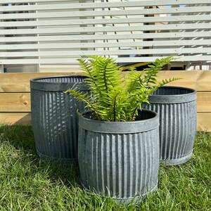 Set Of 3 Round Galvanised Dolly Tub Planters Indoor Outdoor