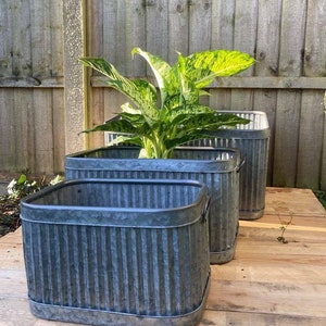 Set 3 Galvanised Dolly Tubs Bucket Planters Rectangle Rectangular Square Vintage image 4