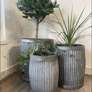 May include: Three galvanised metal planters with a ribbed texture. The planters are in various sizes and are filled with green plants.