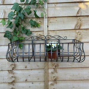 May include: A dark brown wrought iron wall-mounted planter basket, holding a small potted plant. The basket has a decorative scroll design. Green ivy hangs down from above, against a wooden fence backdrop.