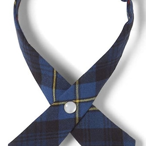 Könnte beinhalten: Eine blaue und schwarze karierte Krawatte mit einem weißen Knopf. Die Krawatte ist gebunden und bereit zum Tragen.