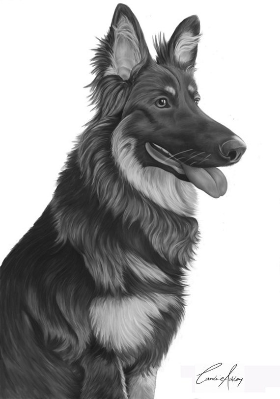 German Shepherd Print Alsatian Art Home Decor Animal Art Etsy